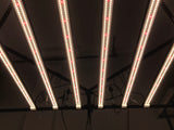 ARA-41 LED Light Bar Fixture, 4-ft - Atreum Lighting